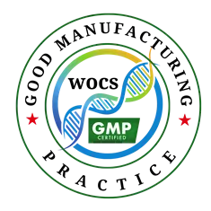 GMP certification